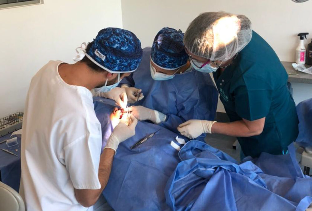Visit from Dr. Lukas Stucki, postgraduate student of Reconstructive Dentistry and Implantology at the University of Zurich (Switzerland)