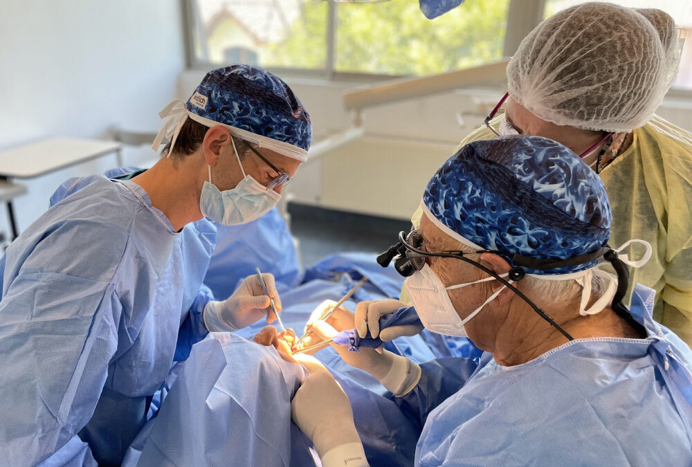 COSS Internship with Dr. Roman Schellenberg (University of Zurich) from September – December 2021
